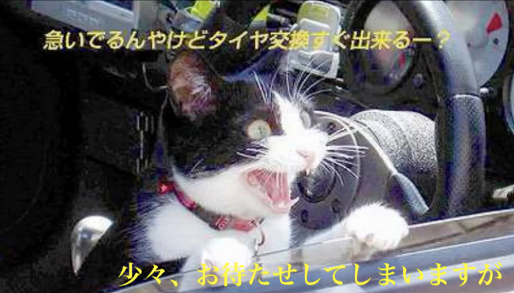 スクリーンショット 2024-12-18 8.07.36.png