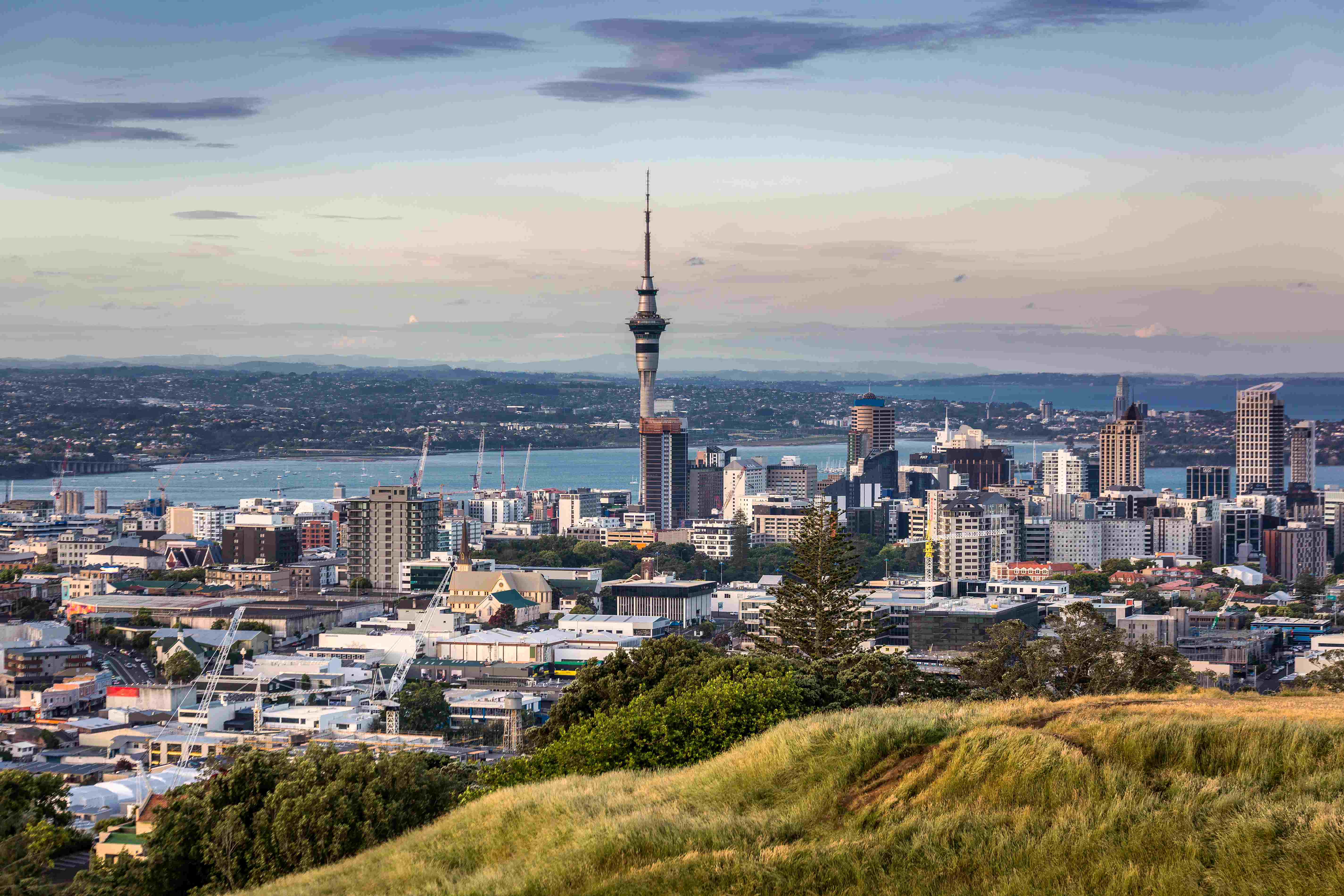 auckland-city-view.jpg