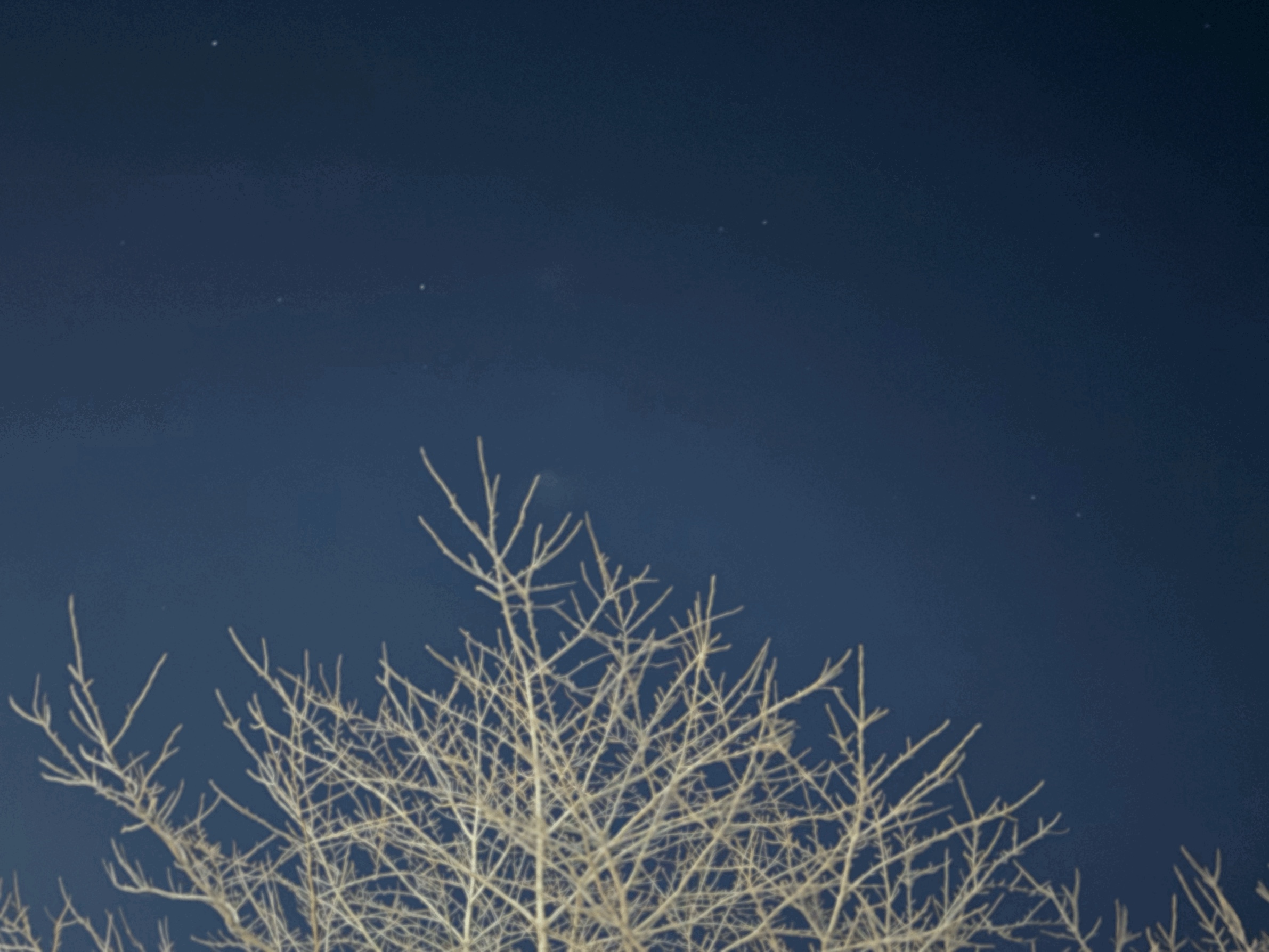 tempImage1JNSfc.gif