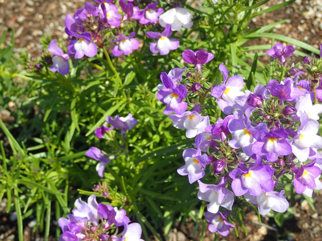 P3220801.JPG