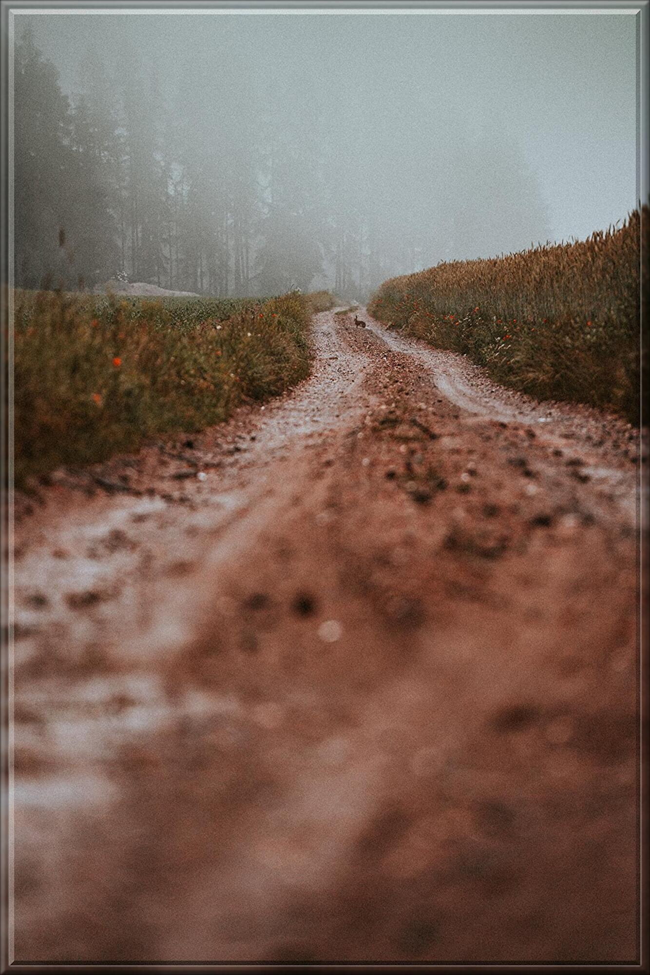 jan-kopriva-AElS2BJV79Q-unsplash.jpg