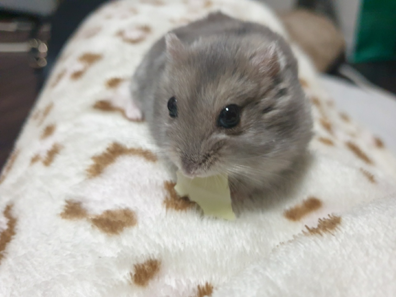 KakaoTalk_20210830_113756733.jpg