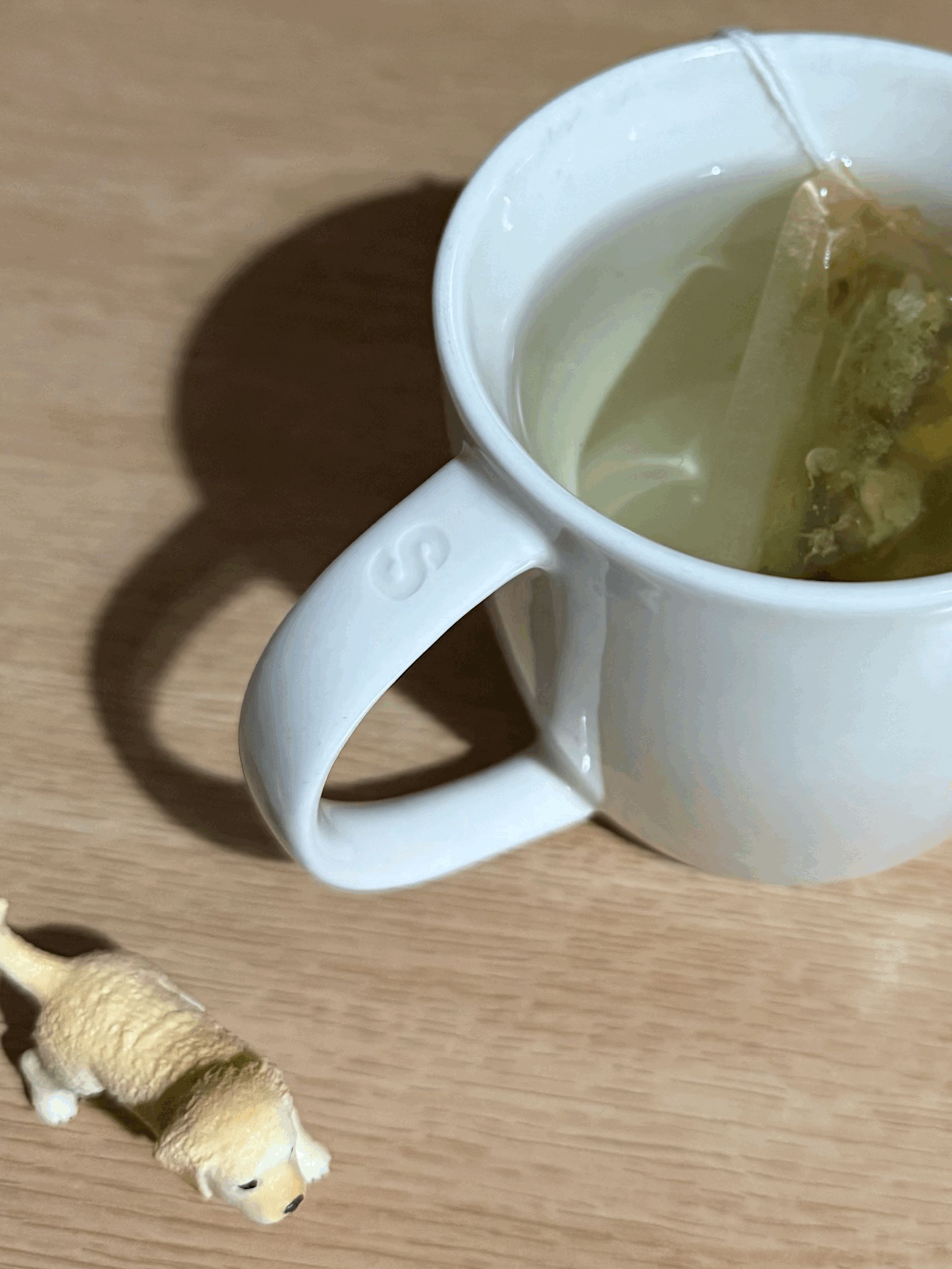tempImageYtoIYw.gif