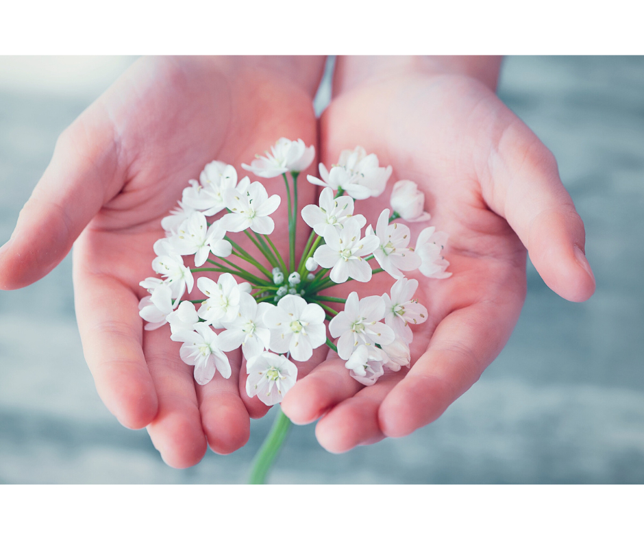 名称未設定のデザイン - 2024-01-02T194742.109.png