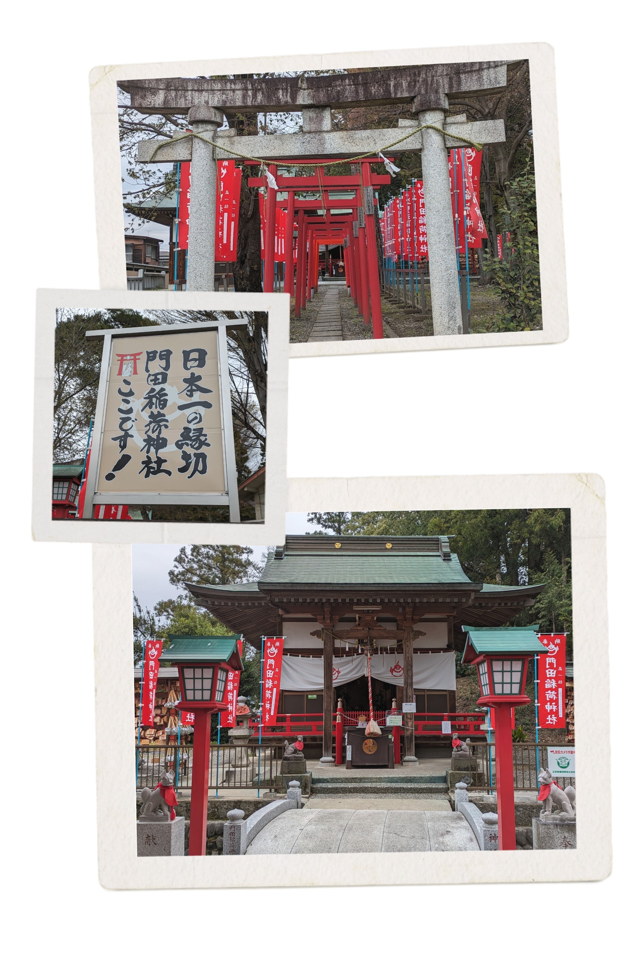 20240423_120116-COLLAGE.jpg