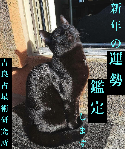 スクリーンショット 2024-12-18 9.16.45.png