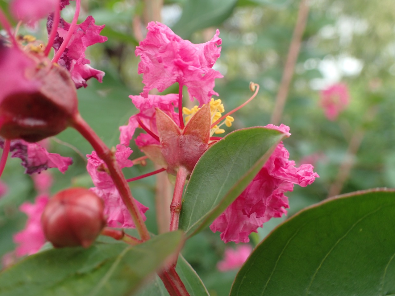 PA050254.JPG
