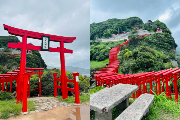 ココナラブログ 本文画像.png