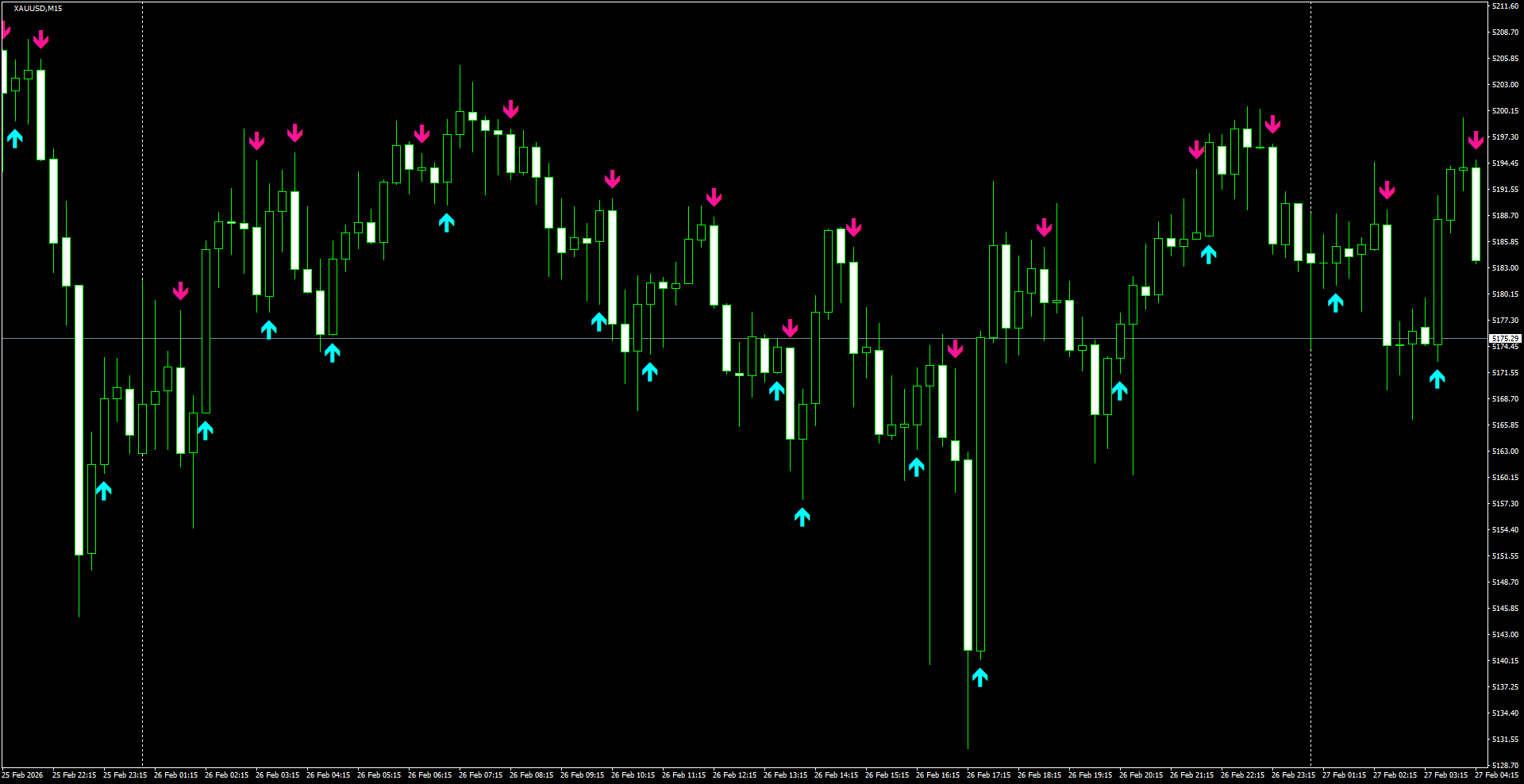 XAUUSD(M15)_2026.02.27_200520.png
