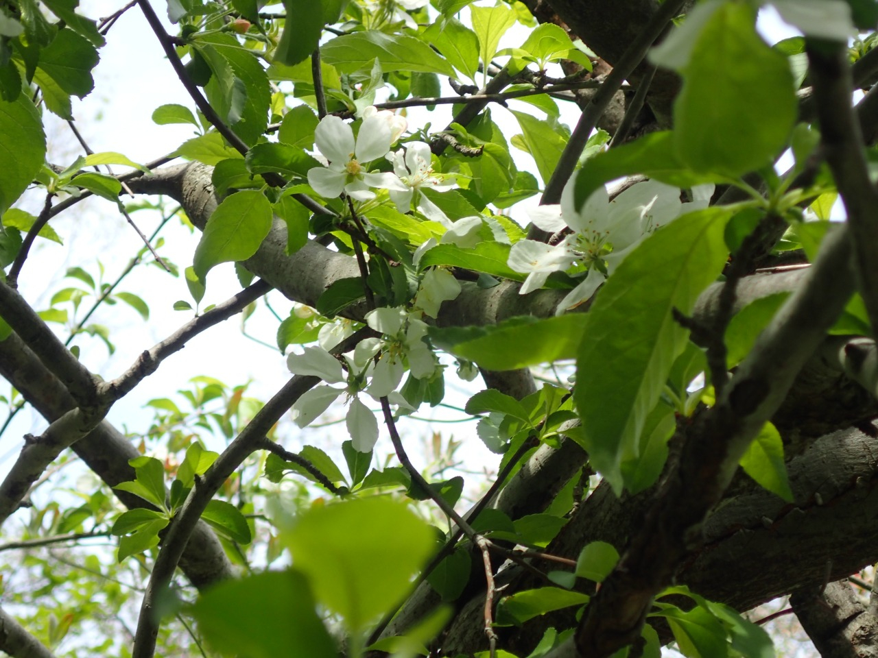 P4130541.JPG