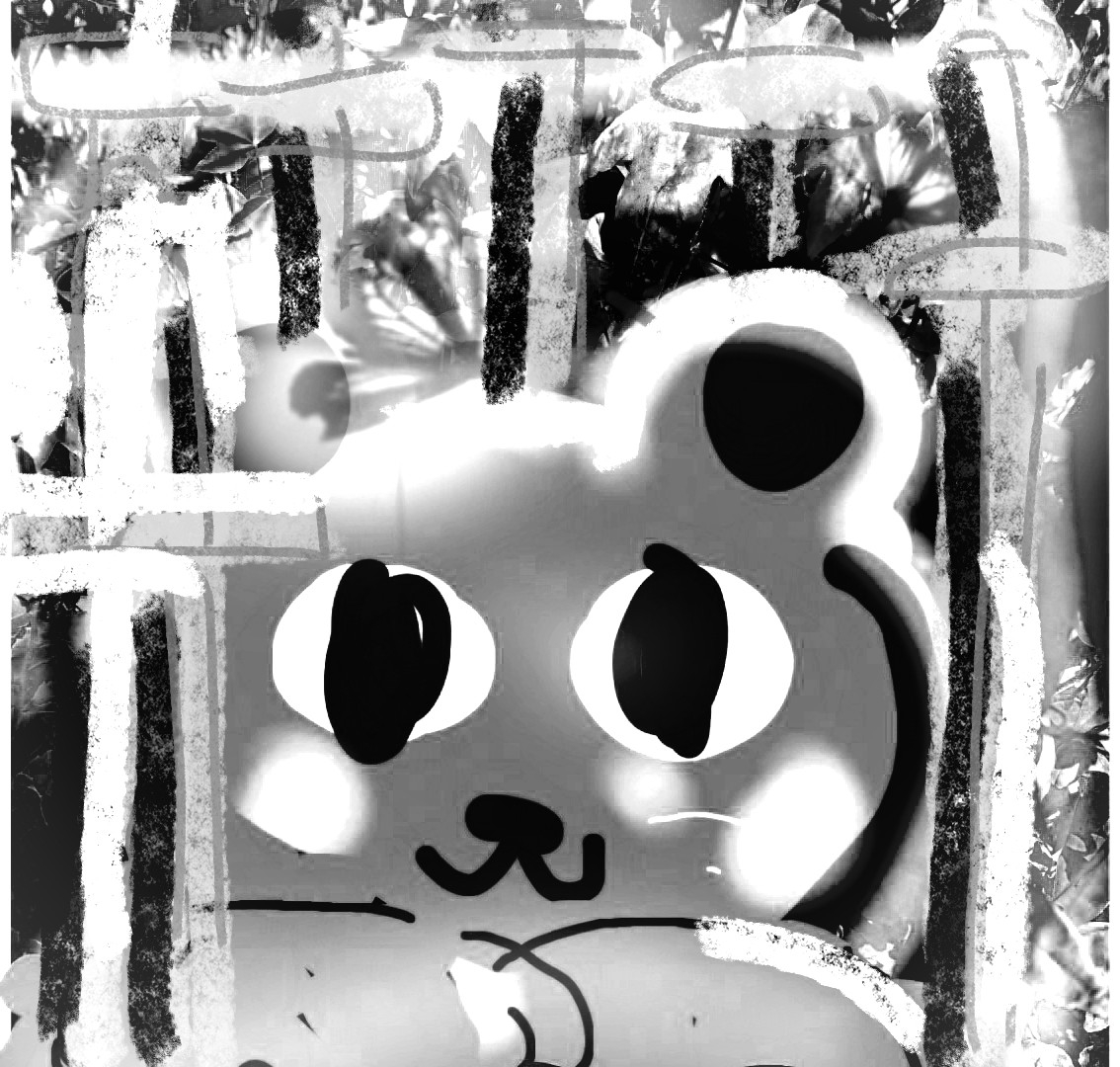 _20260719_103138.JPG