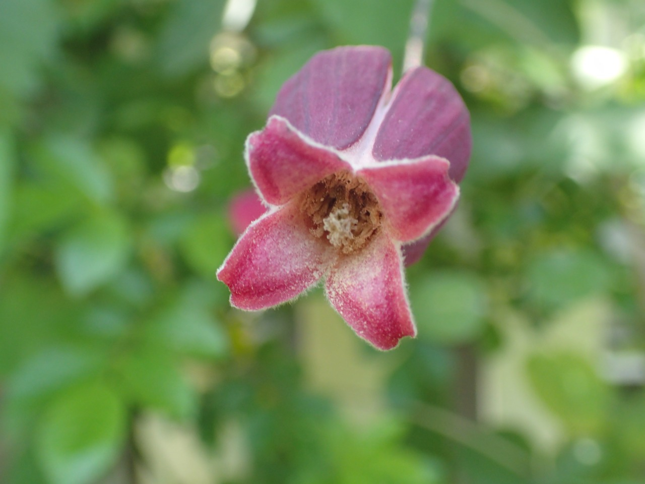 P5111610.JPG