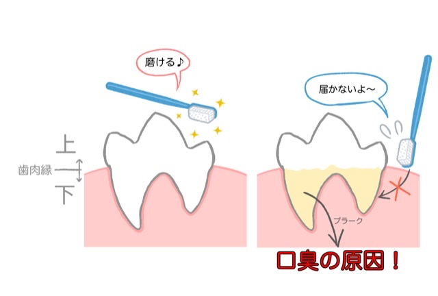5FCE934C-D0CE-43D3-9636-6EB110795CC7.png