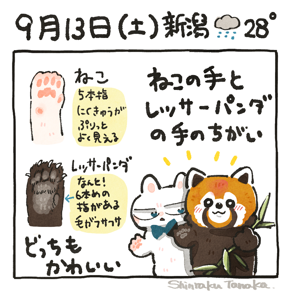 sns 9-13.jpg