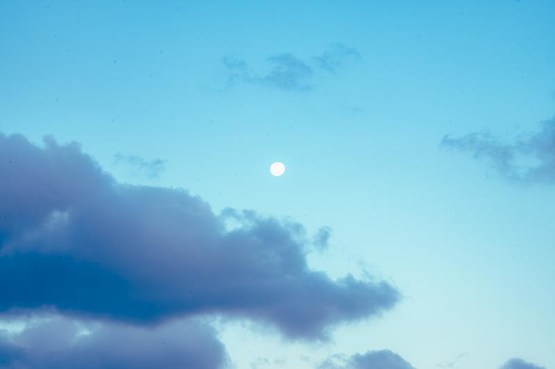yudai_0122005_TP_V4.jpg