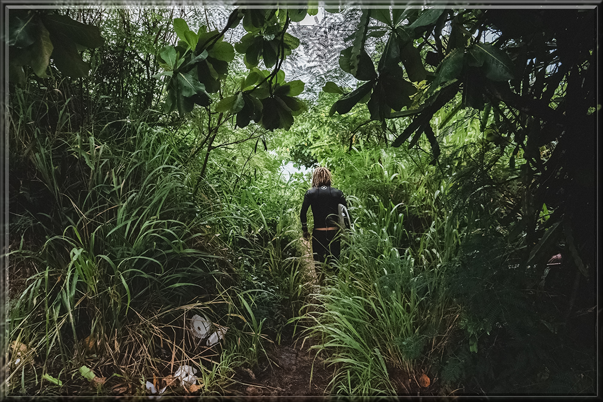 path-1209171.jpg