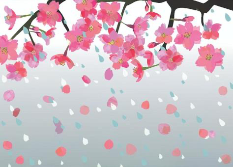 雨と桜.jpeg