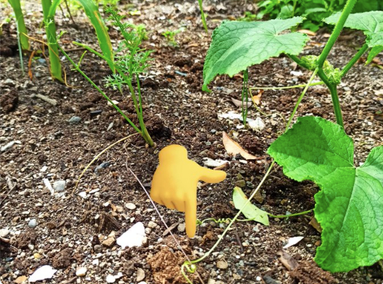 スクリーンショット 2024-07-14 21.04.11.png