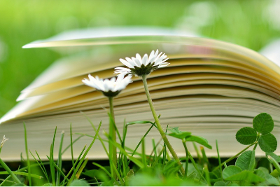 Screenshot 2024-03-15 10.48.30 (1).png