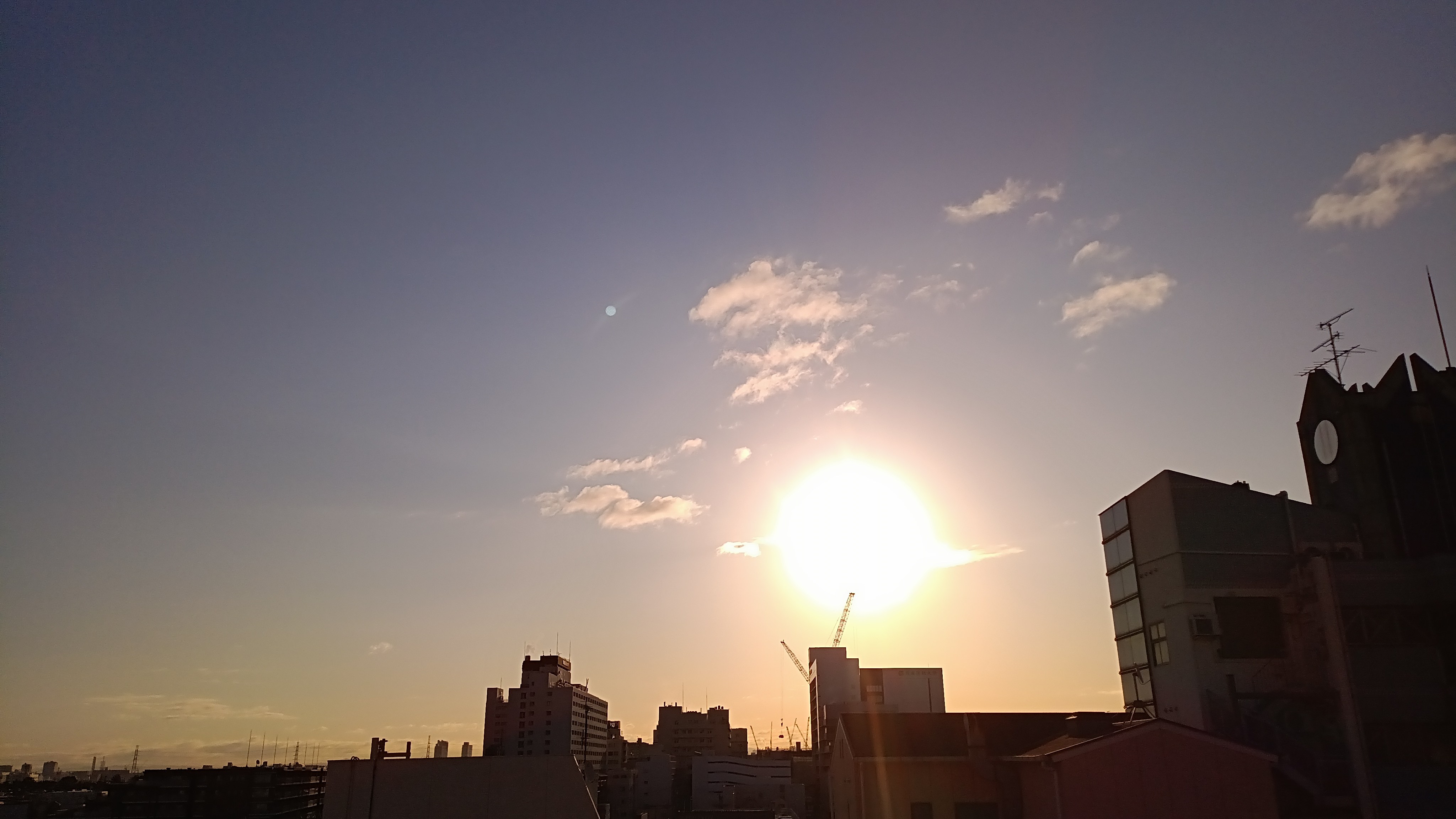 IMG_20250220_074127_619.jpg