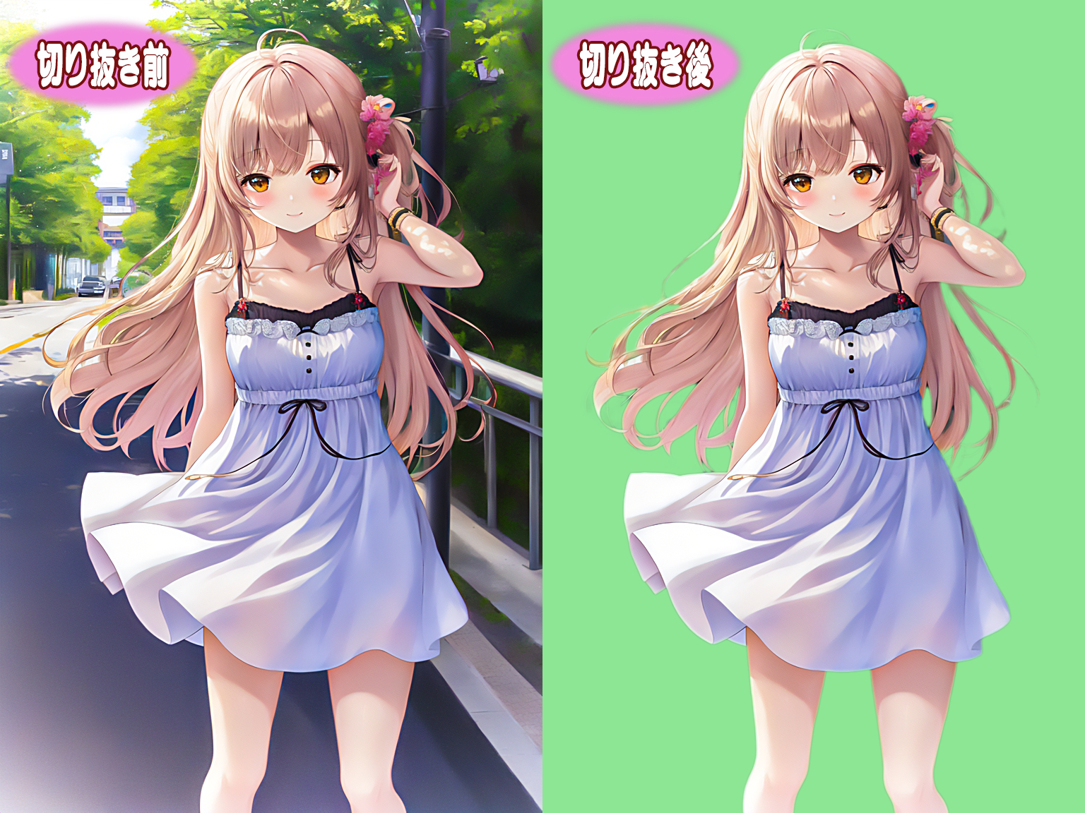 切り抜き（比較）.png