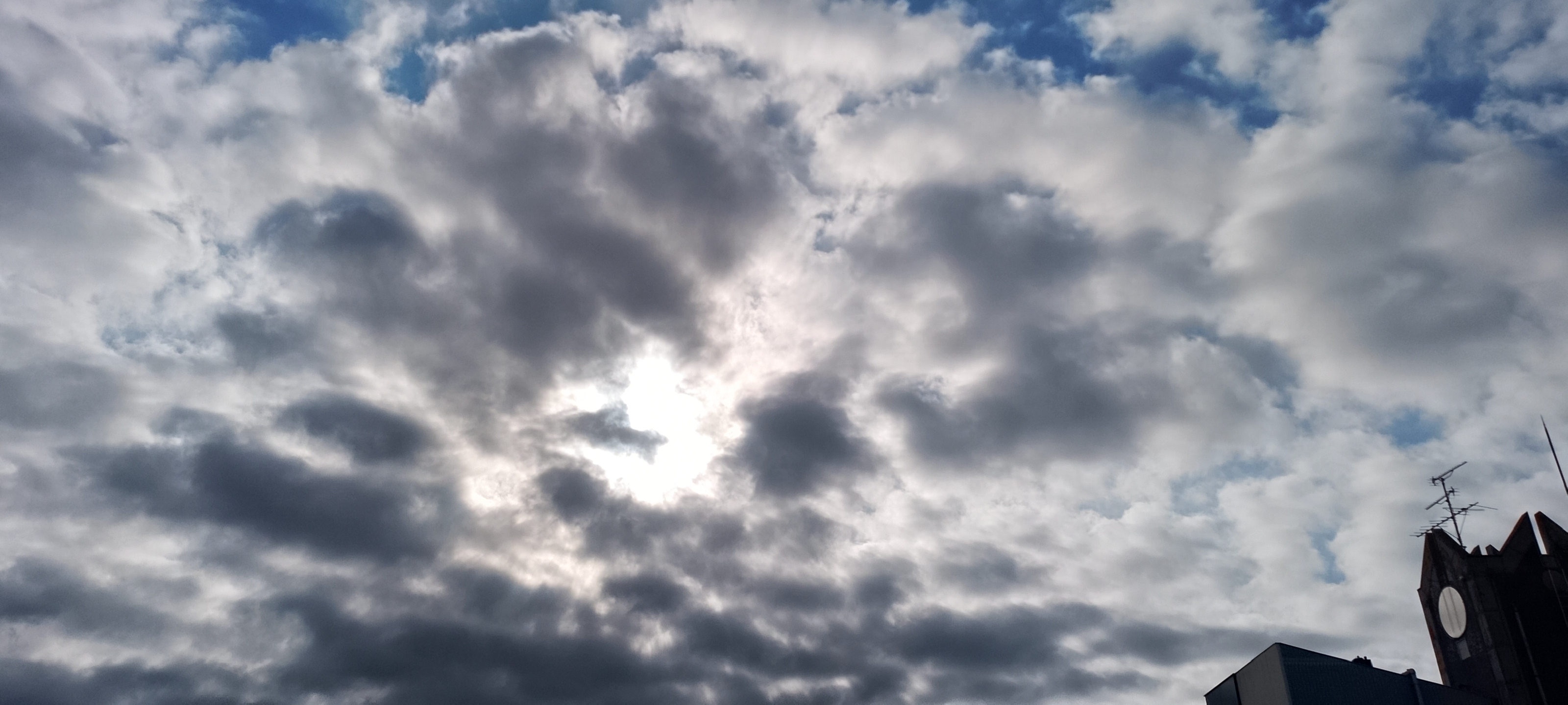 8090.jpg
