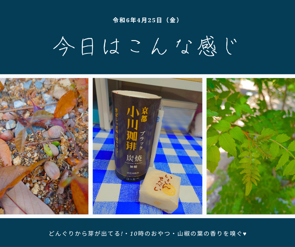 濃い青_コーヒー_無地_コラージュ_Facebook投稿_20240425_144039_0000[1].png