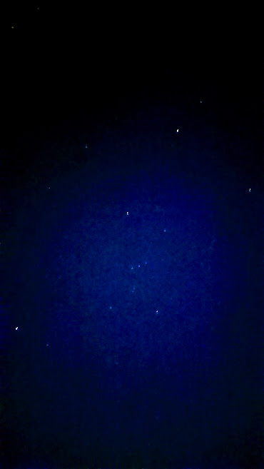 DSC_1929.JPG