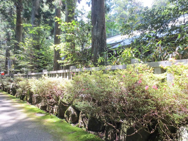 箱根神社_境内03.jpg