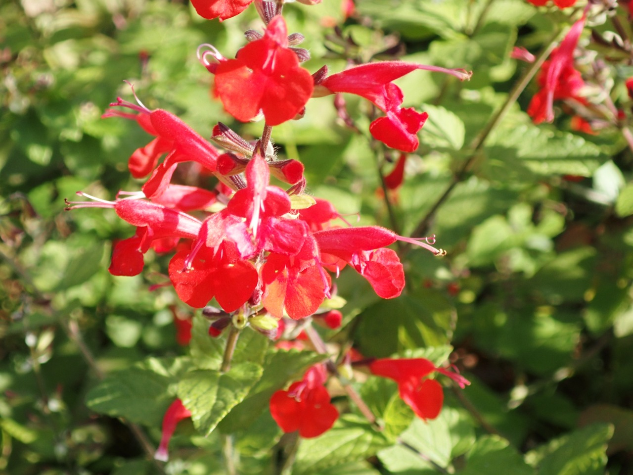 PB160834.JPG