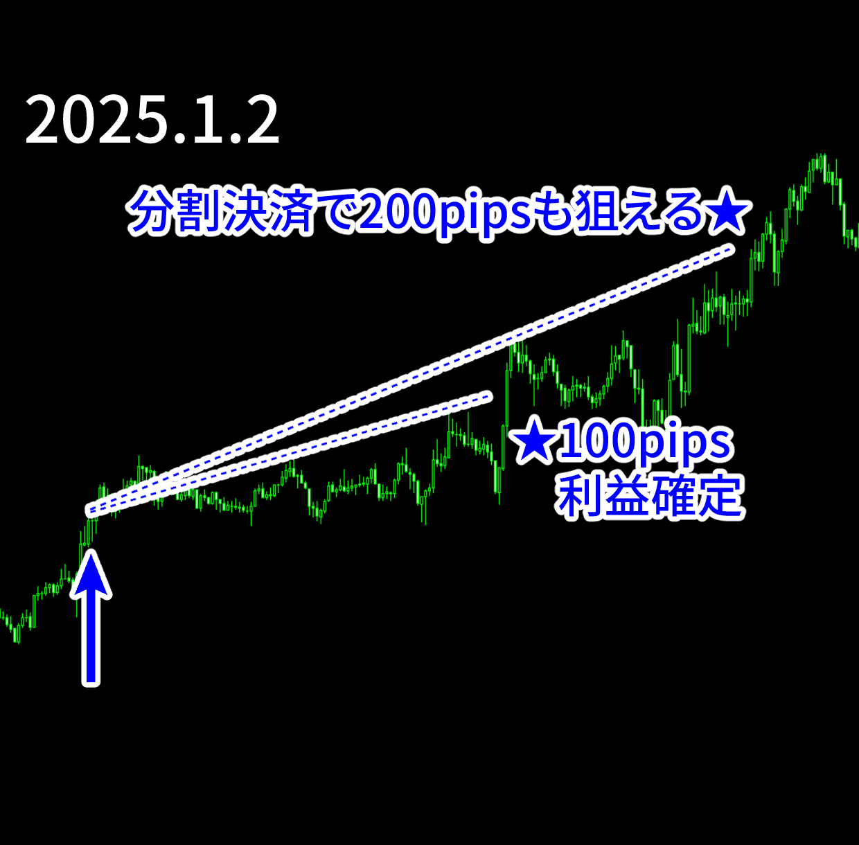 エントリー例_250102.png