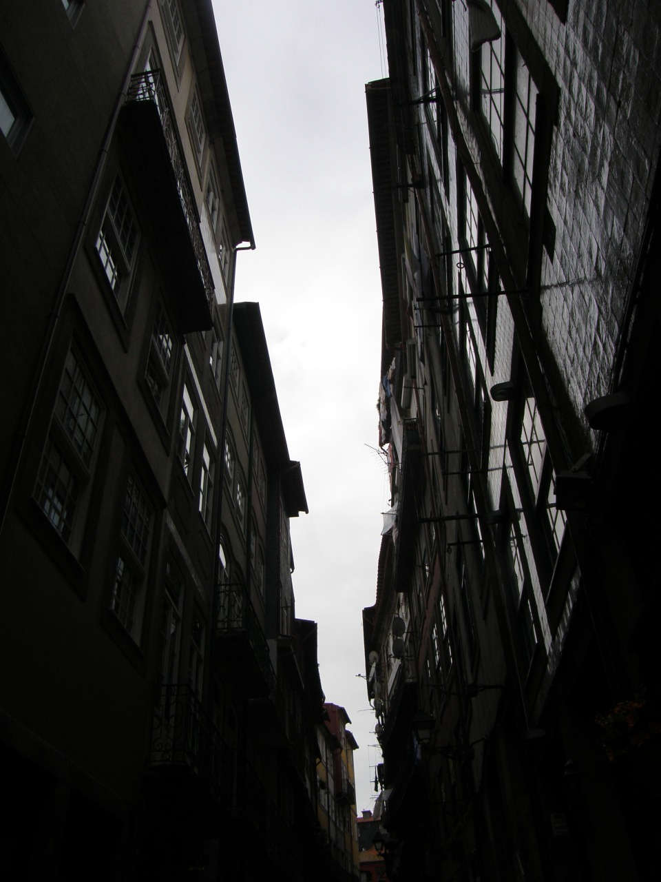 P1240975.JPG