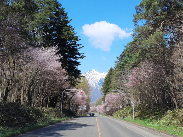 富良野国道■.jpg