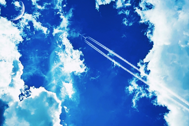 24529451_s.jpg