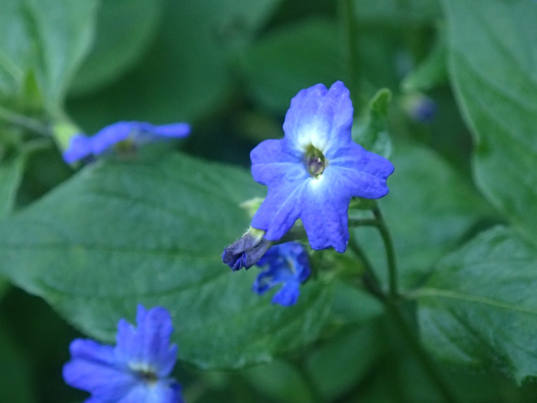 PA101425.JPG