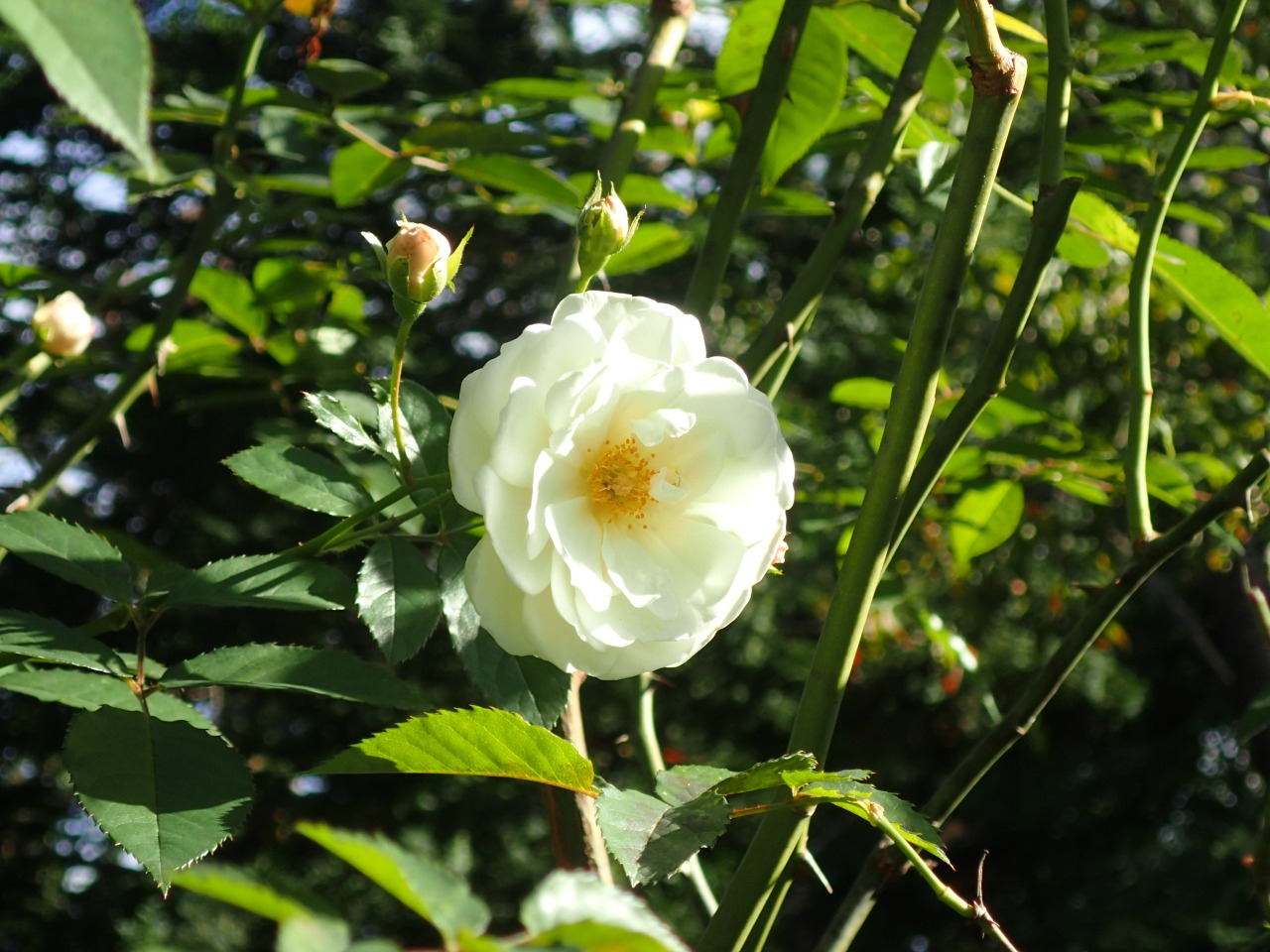 PB010789.JPG