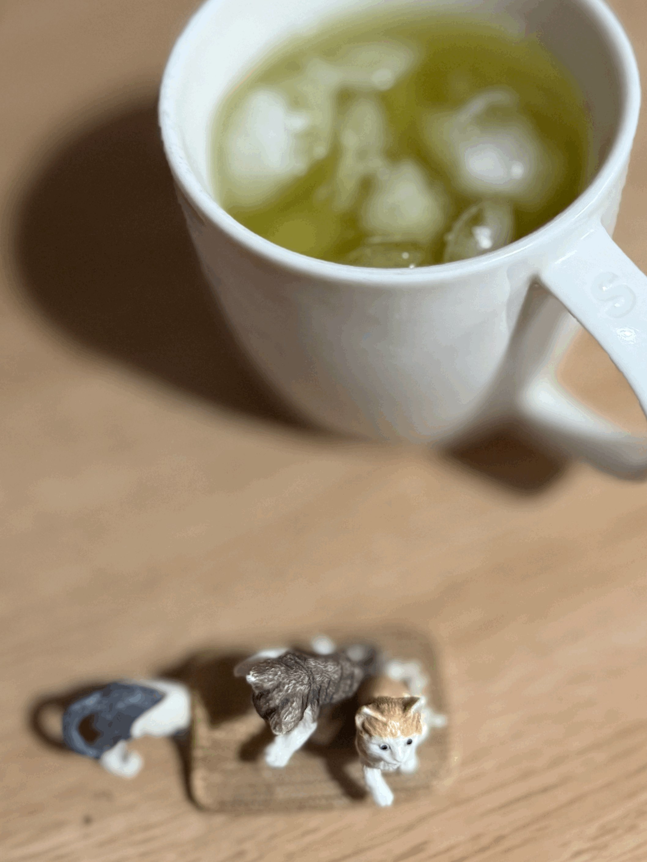 tempImagecBFs3D.gif