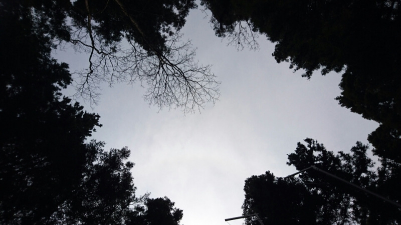 o0800045013631443786 (1).jpg