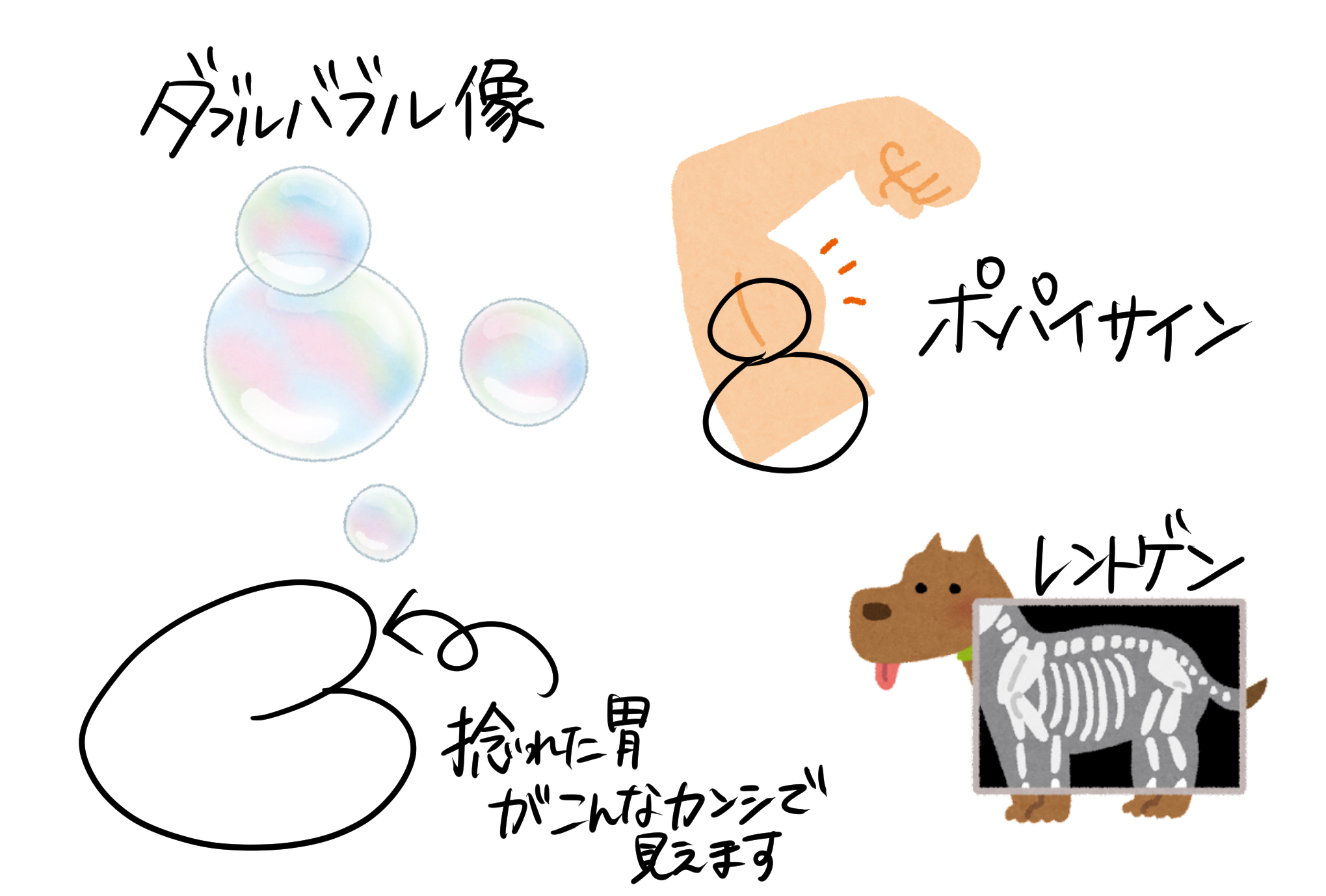 IMG_2101.png