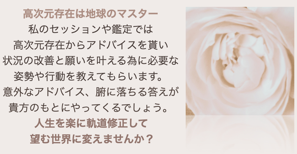 スクリーンショット 2024-08-02 14.42.03.png