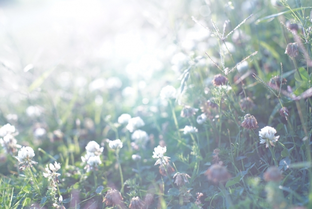 7B8A05BB-8B7A-458F-A7B1-858AE12C585E.jpeg
