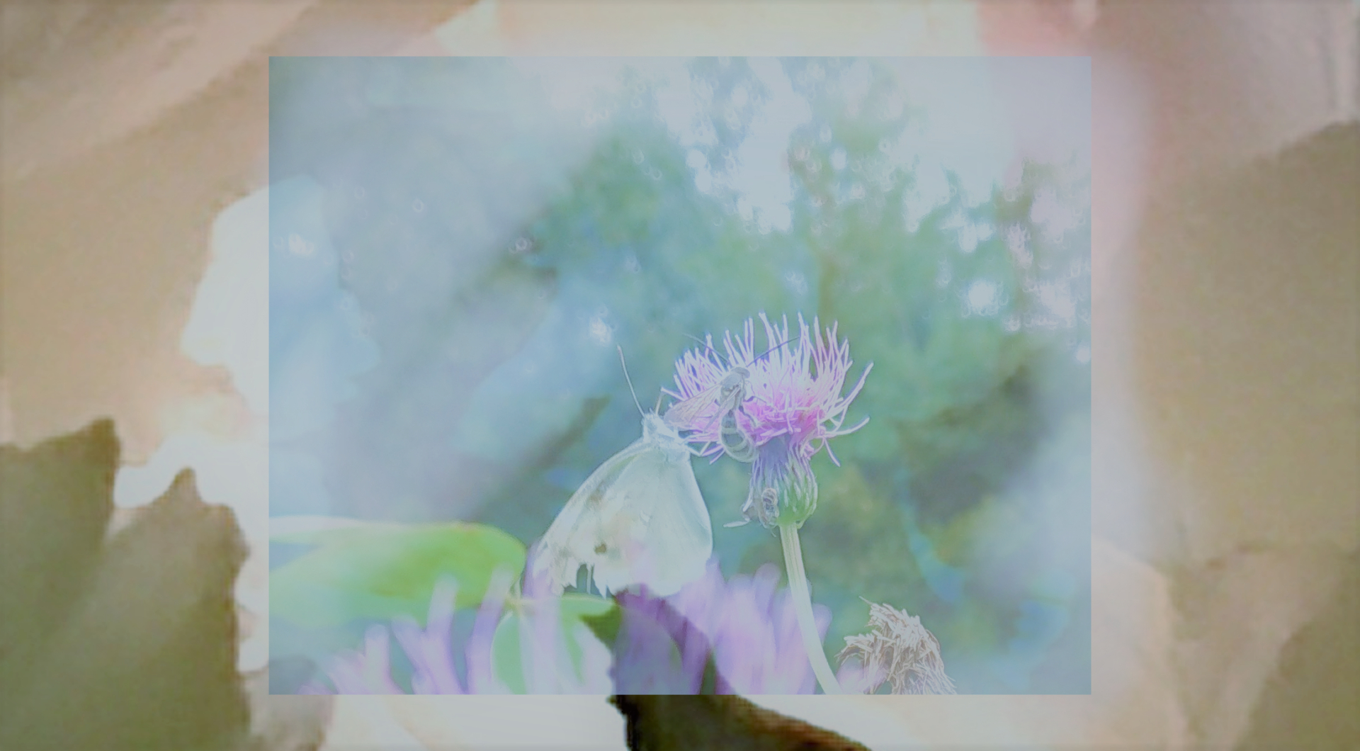 sketch-1688195641164 (2).png