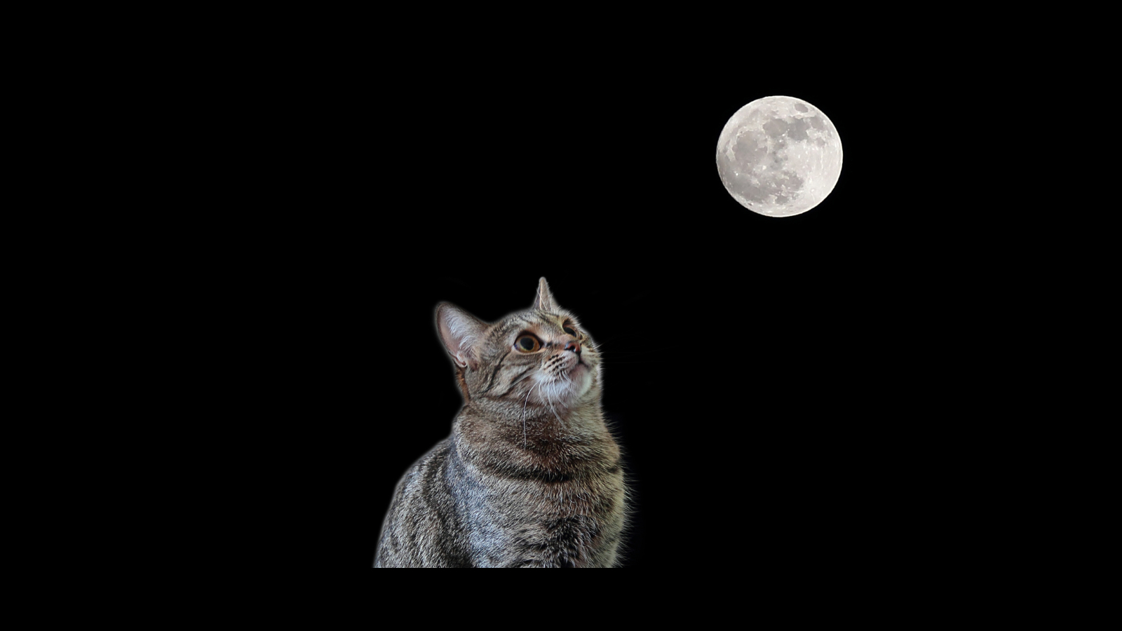 名称未設定のデザイン (46).png