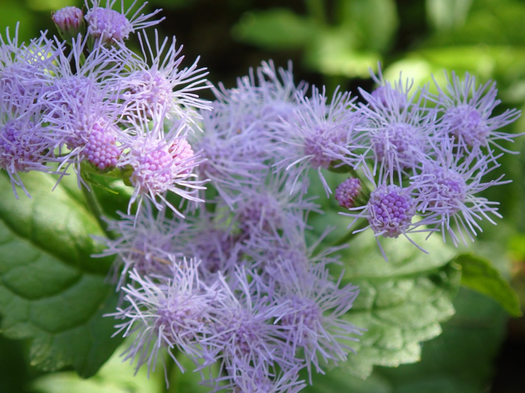 PA100637.JPG