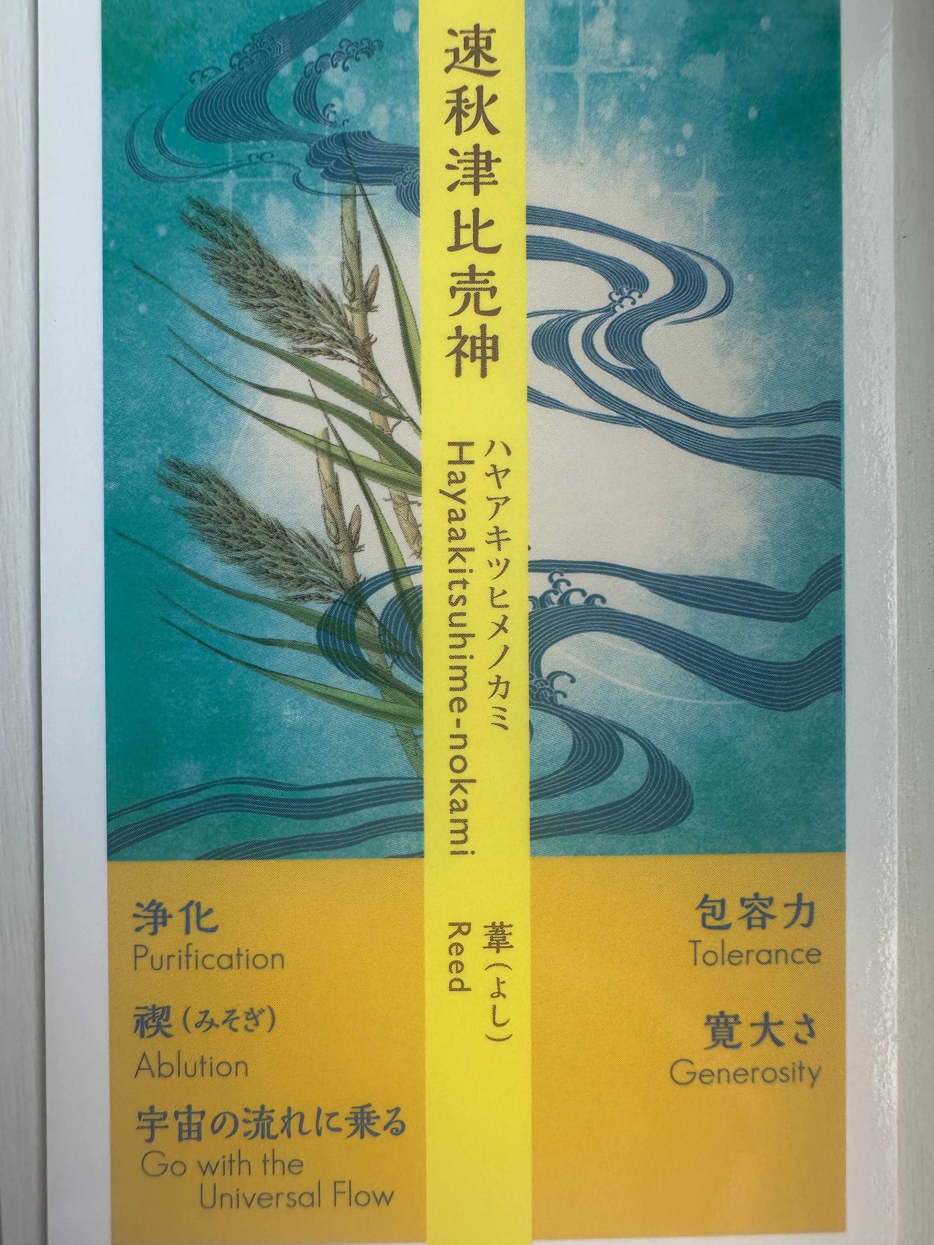 6d542a01-6baf-4ba4-b810-4b9c7119de75.jpg