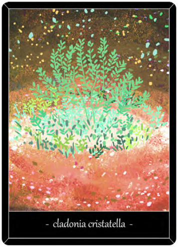 7c6368e8ddd572dfe3520f2c9c9ceb62.png