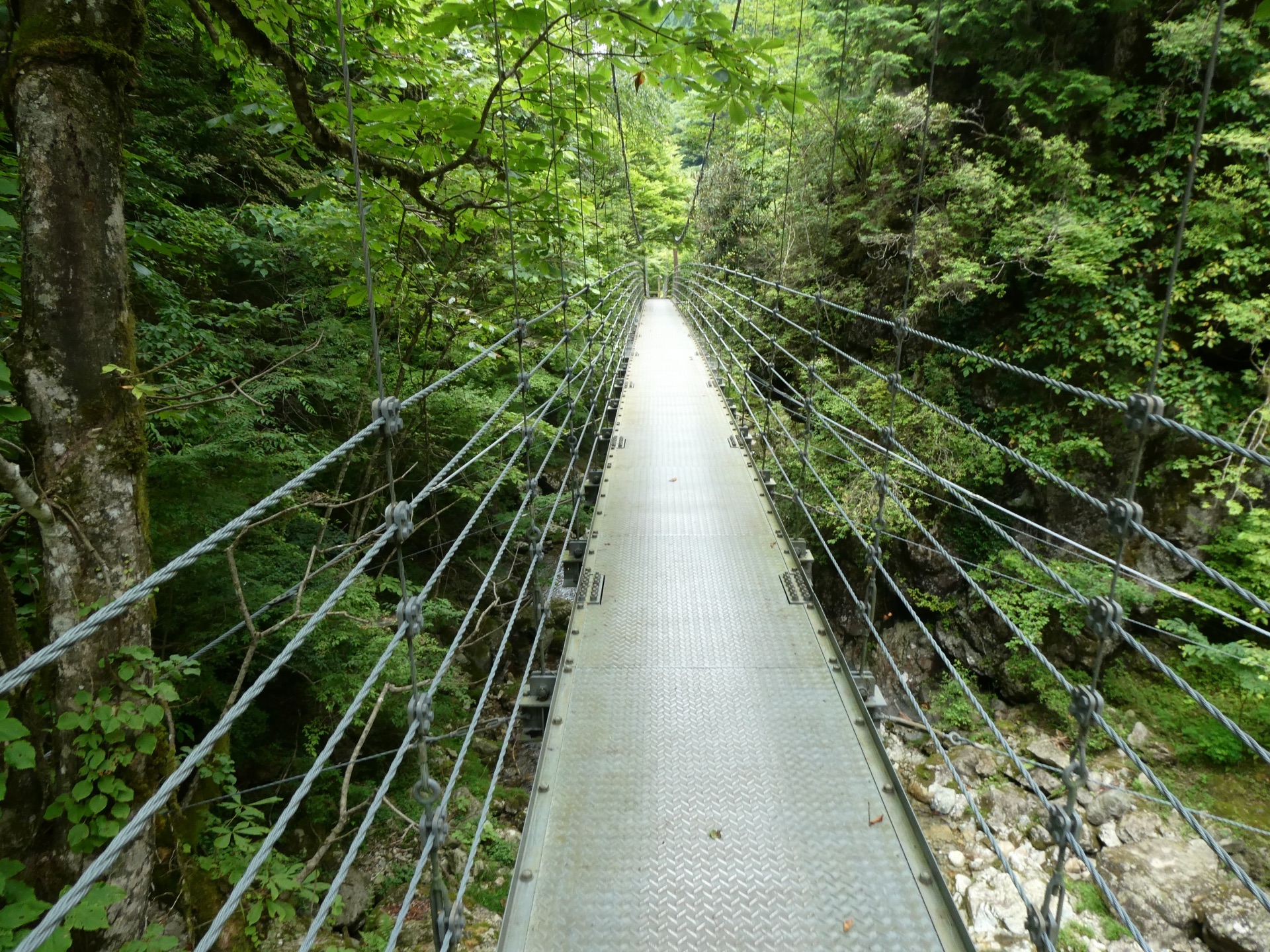AA005955-89E9-4404-BFC9-9704CB2219F7.jpeg