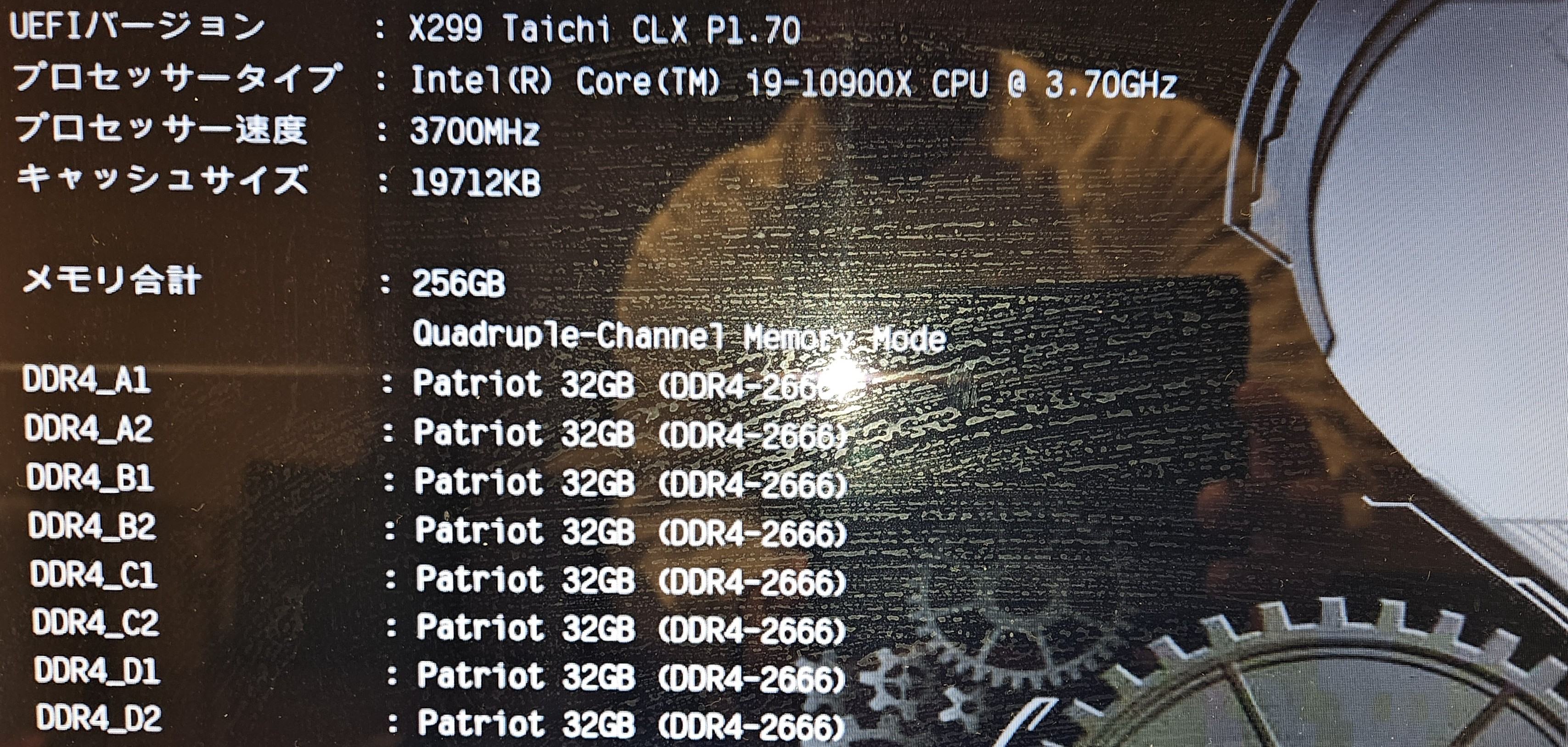 20260301_182504.jpg