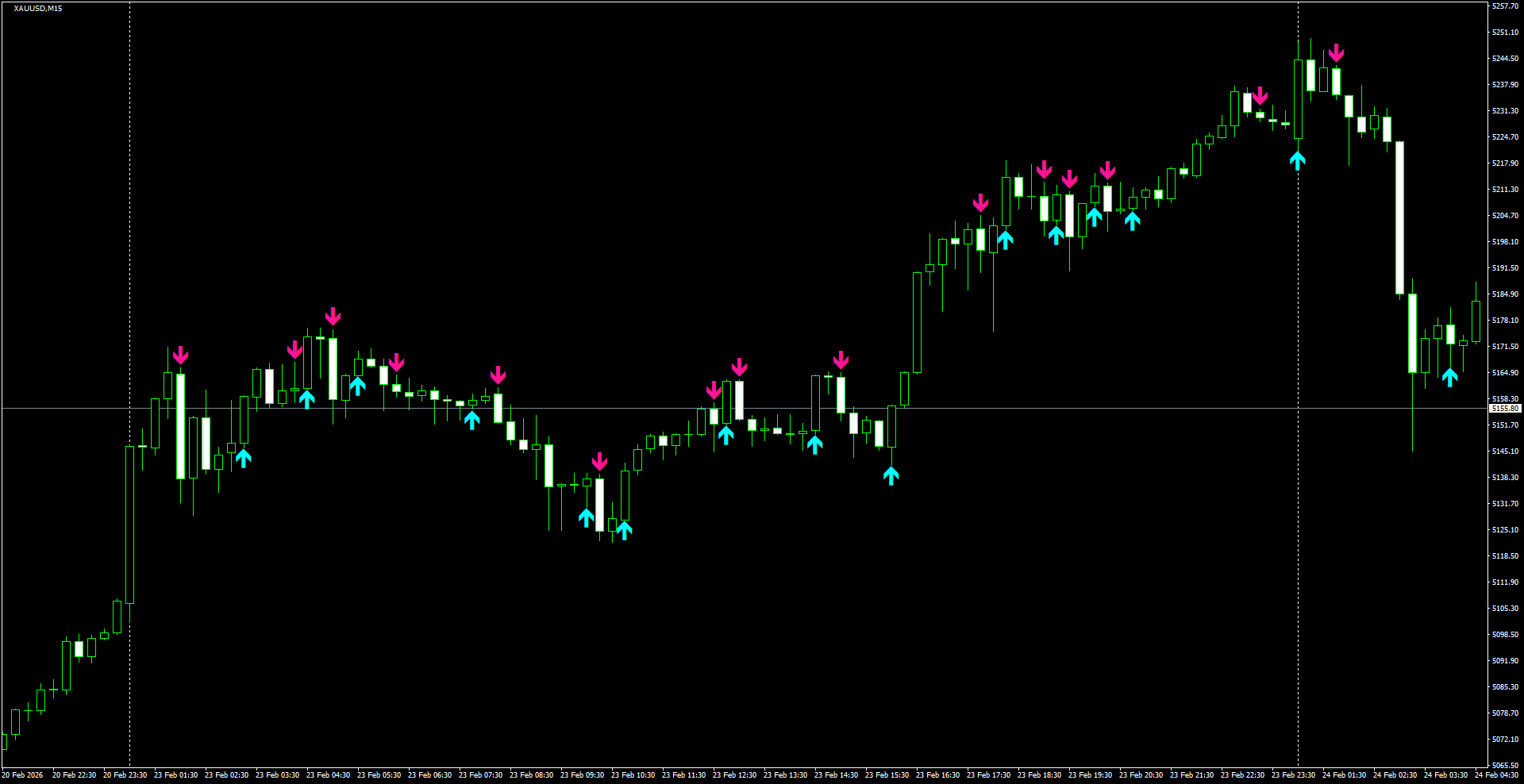 XAUUSD(M15)_2026.02.24_212110.png