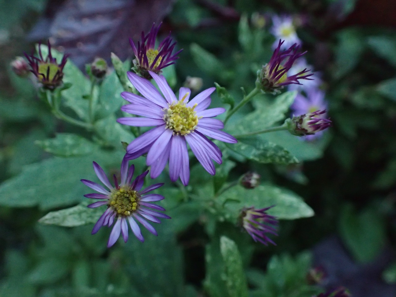 PB081500.JPG
